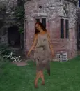 cinderella anna