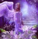 judy purple angel