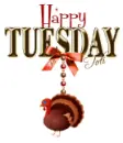Happy Tuesday !