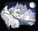 white angel