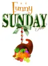 Funny Sunday 