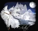 aletha winter angel