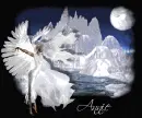 annie winter angel
