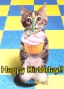 Cat - Happy Birthday! Muffin