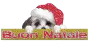 Buon Natale