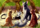 5 warriors