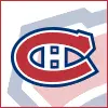 nhl icon