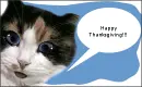 Happy Turkey Day!!