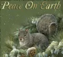 peace on earth squirrel