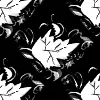 black & white leaf