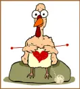 naked turkey