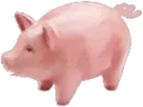 piggy 
