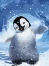happy penguin