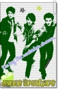 Jonas Brothers