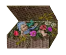 baby in basket