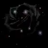 Black glitter rose