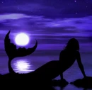 Mermaid in the Moonlight