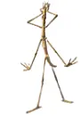 Slim 
