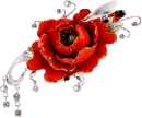 poppy