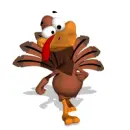 large turkey walking