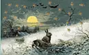winter hares