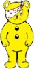 Lil Pudsey Bear!