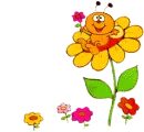 Attract Bees!