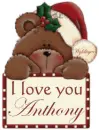 I Love You - Anthony