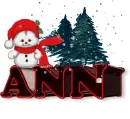 ANN