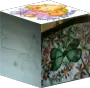 The random cube