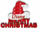 Santa Hat - Diane