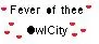 OwlCity!