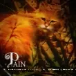 Pain - Fireheart