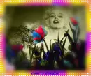 marilyn monroe,flowers