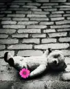 left alone...