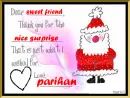 Nice Surprise-Parihan