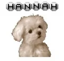 Hannah1