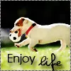 enjoy life