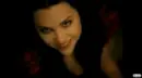 Amy Lee 