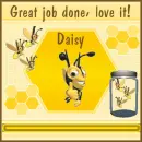 Love it! Daisy