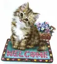 welcome