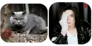 Cat, Michael Jackson