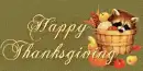 happy thanksgiving raccoon