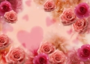 Romantic Roses