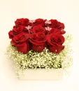 red rose
