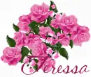 Teressa