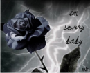 dark rose