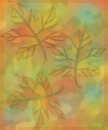 autumn leaf background