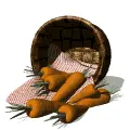 carrots in a basket