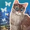 Warrior Cat